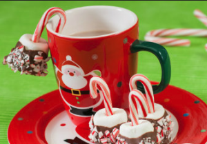 Mug of hot chocolate with candy canes