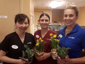 Three peopleCare staff members holding daffodils