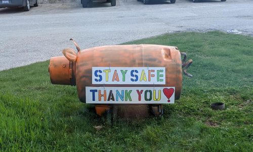 Handmade pig lawn statue with a sign that says stay safe thank you
