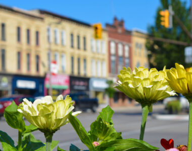 Flowers in front of a main street in downtown Tillsonburg