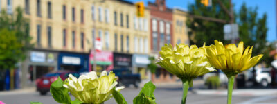 Storefronts and flowers in downtown Tillsonburg, Ontario